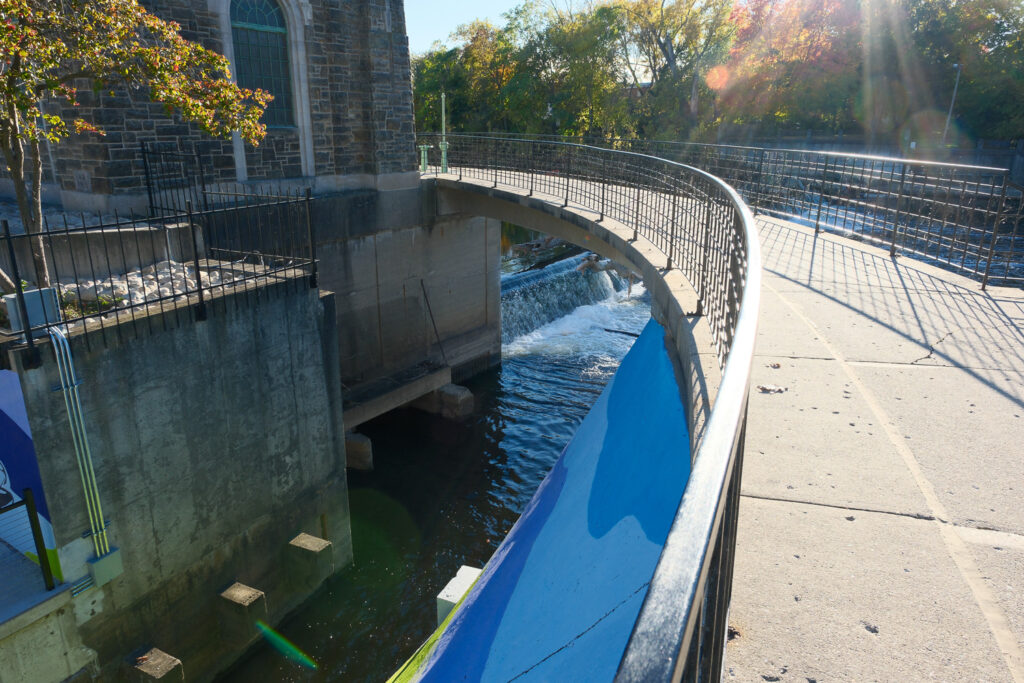 lansing fish ladder with needles and graffiti and trash
