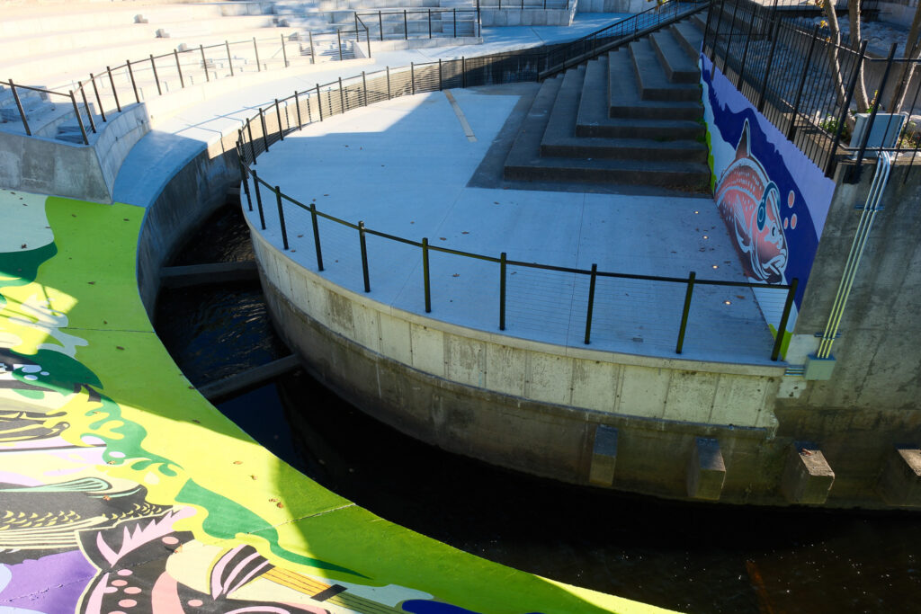lansing fish ladder with needles and graffiti and trash