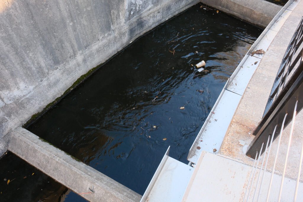 lansing fish ladder with needles and graffiti and trash