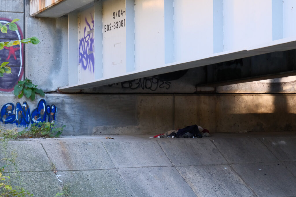 lansing fish ladder with needles and graffiti and trash