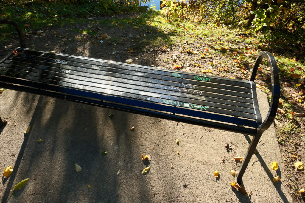 lansing fish ladder with needles and graffiti and trash