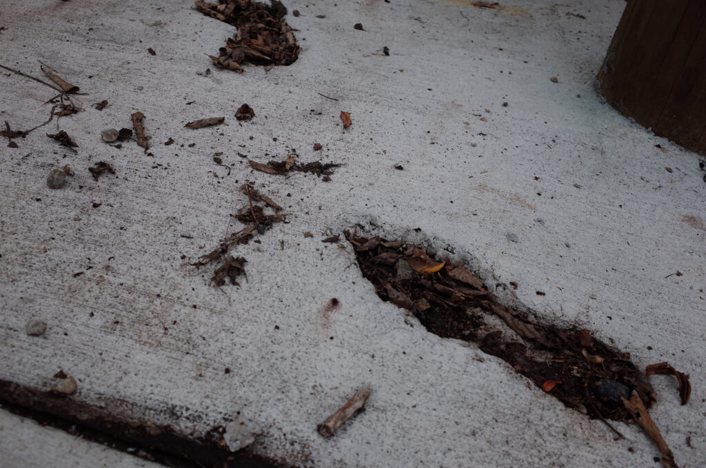 kalamazoo witch killing