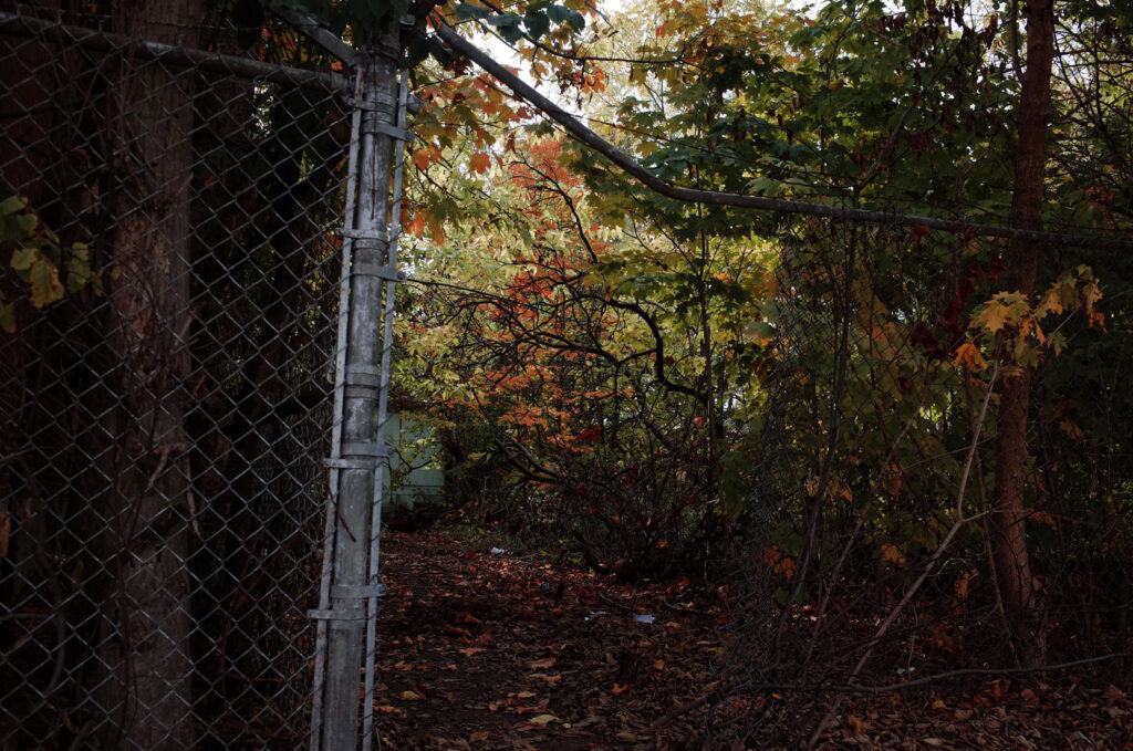 kalamazoo witch killing