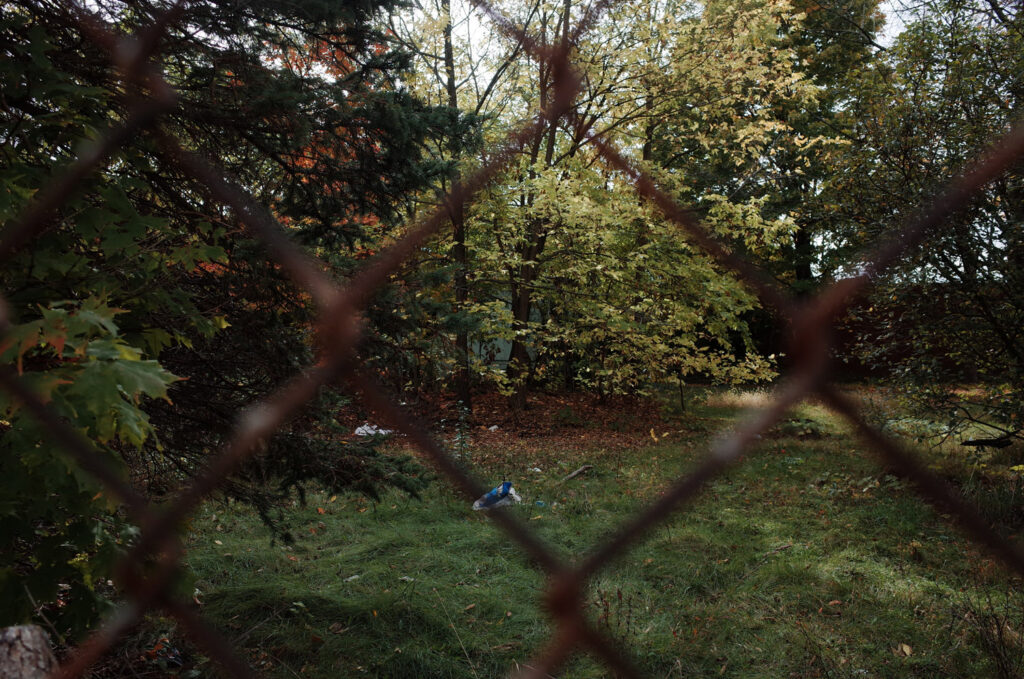 kalamazoo witch killing