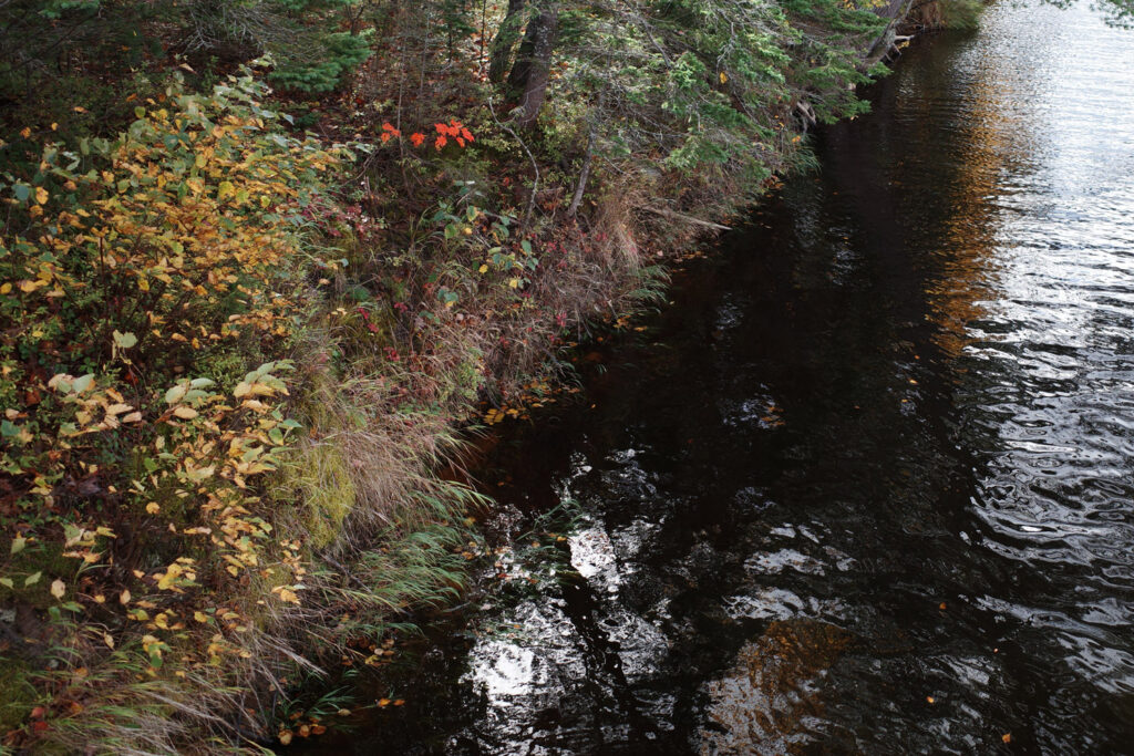 two hearted river and upper peninsula