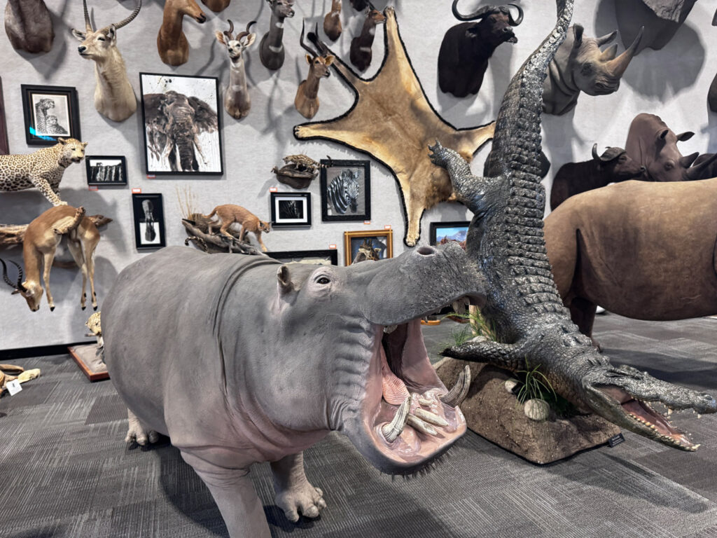 wildlife center taxidermy animals