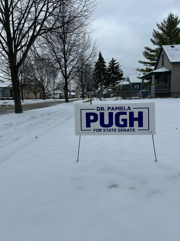 Michigan 35th district