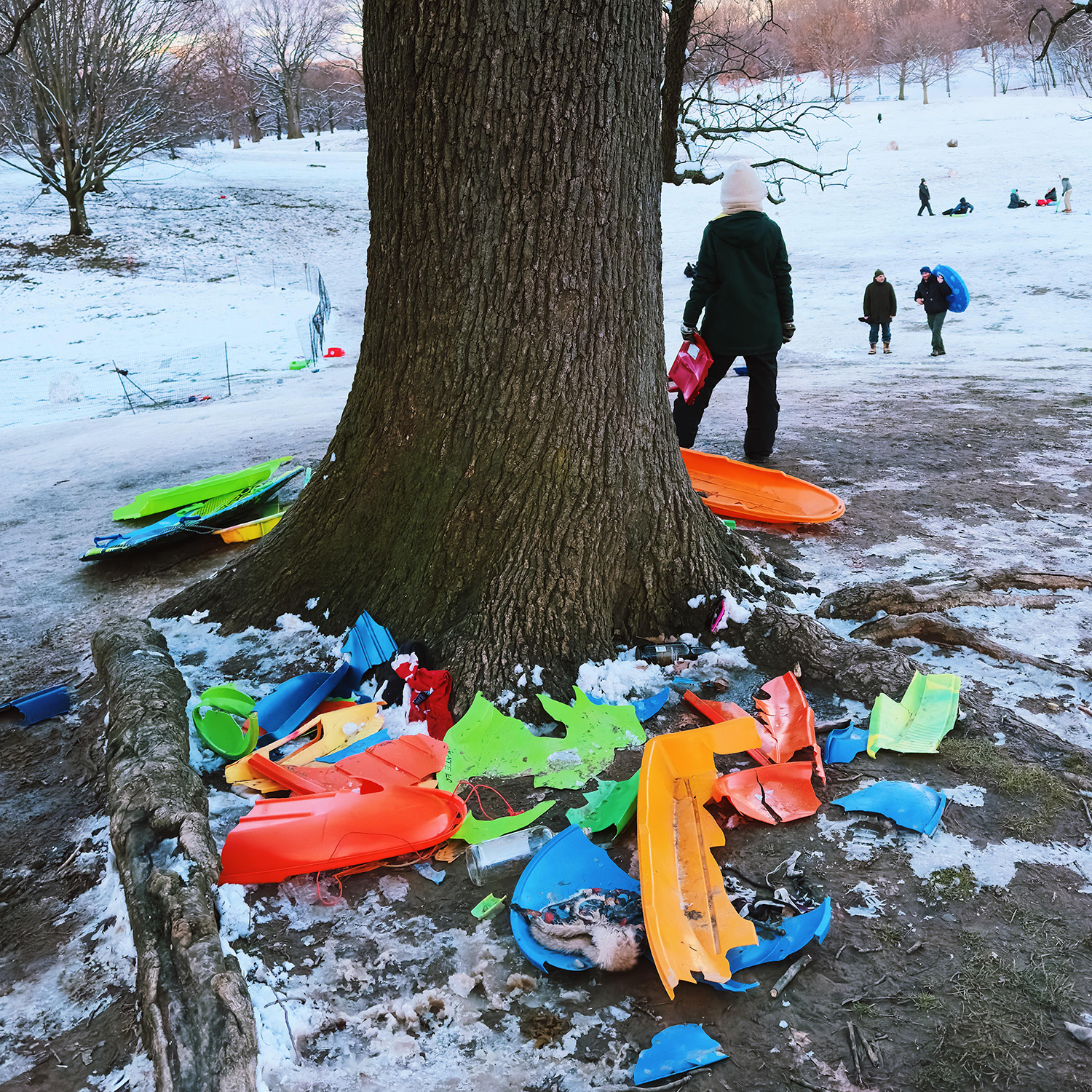 plastic sleds