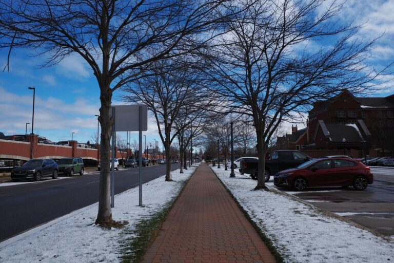 A snowy street scene in downtown Holland, Michigan, with brick sidewalks, bare trees, and parked cars.