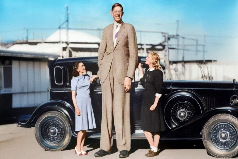 robert wadlow