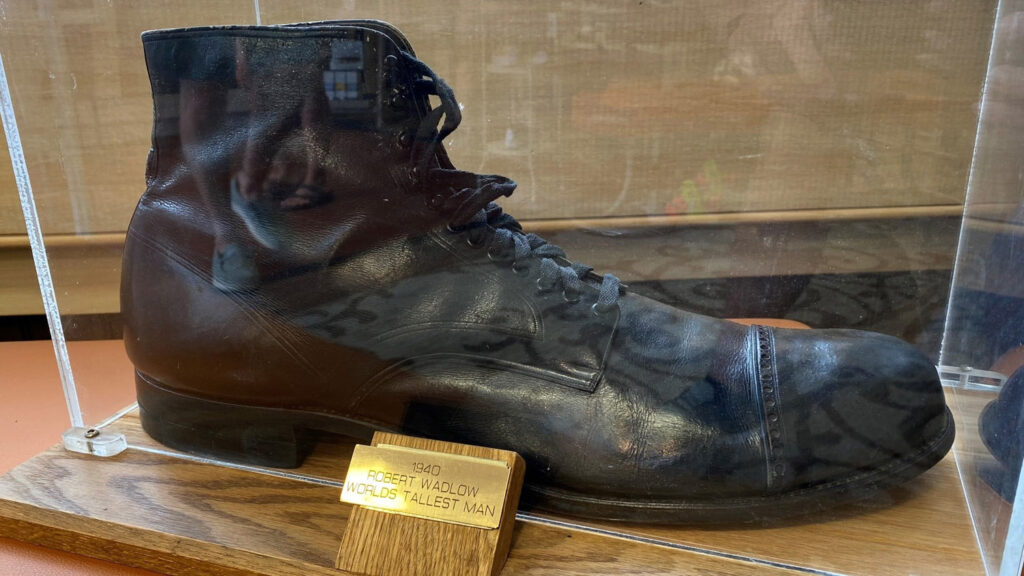 robert wadlow shoe