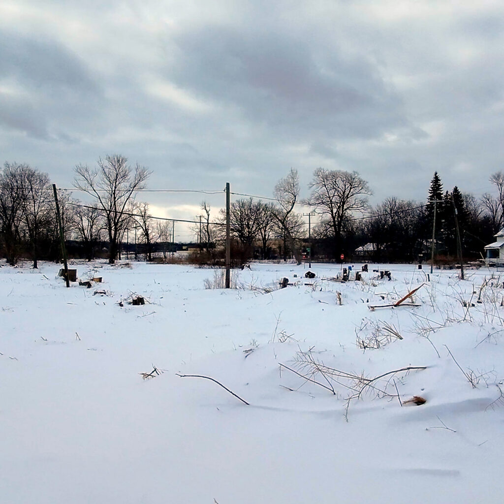 detroit solar neighborhood in winter