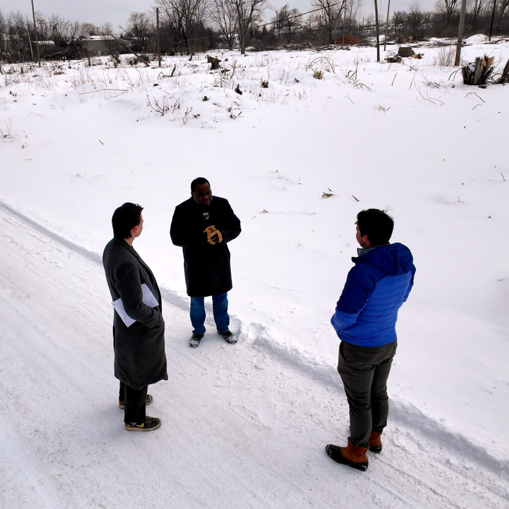 detroit solar neighborhood in winter