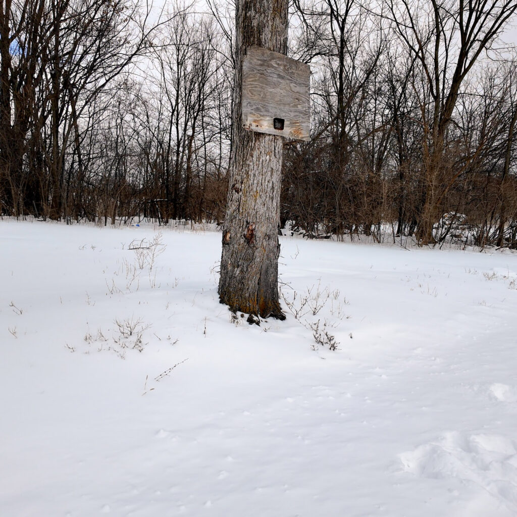 detroit solar neighborhood in winter